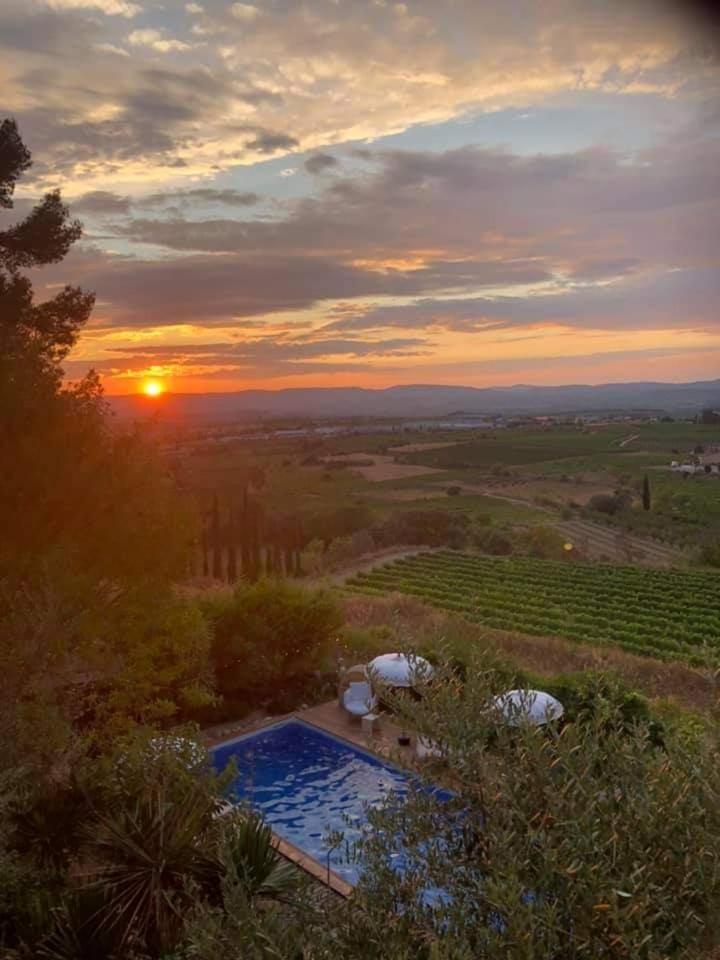 Cal Mestre Casa Rural Avinyonet del Penedes Dış mekan fotoğraf